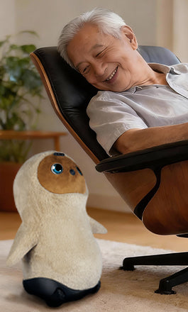 Momo Family Companion MOMOBOT  Shell Robotics inc