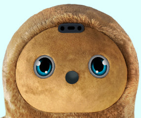 Momo likes looking at you.