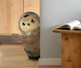 Momo enjoys playing with you.